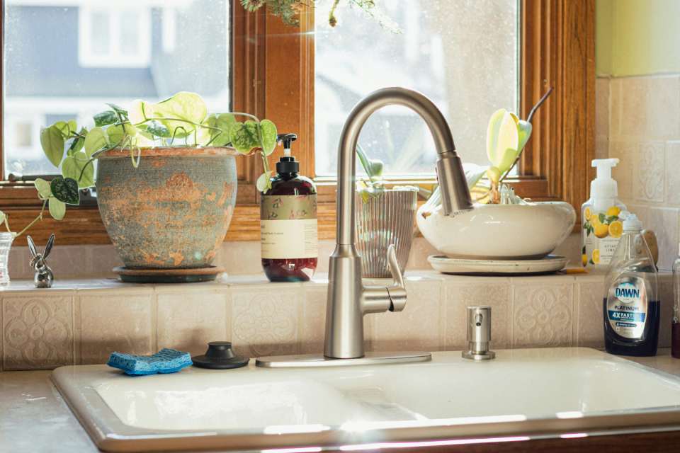 Fregadero con plantas y jabón